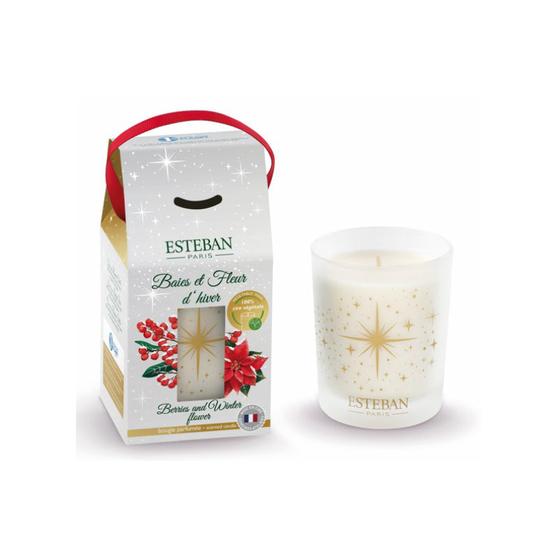 Bougie parfumée baies et fleur d'hiver 180 g Esteban