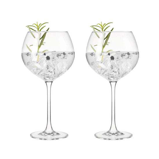 Boîte de 2 verres Gin Tonic Leonardo