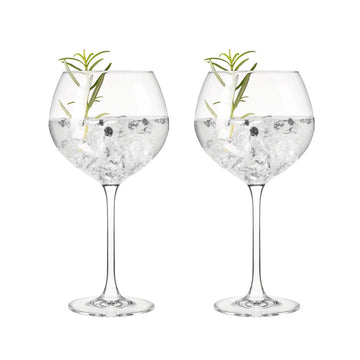Boîte de 2 verres Gin Tonic Leonardo
