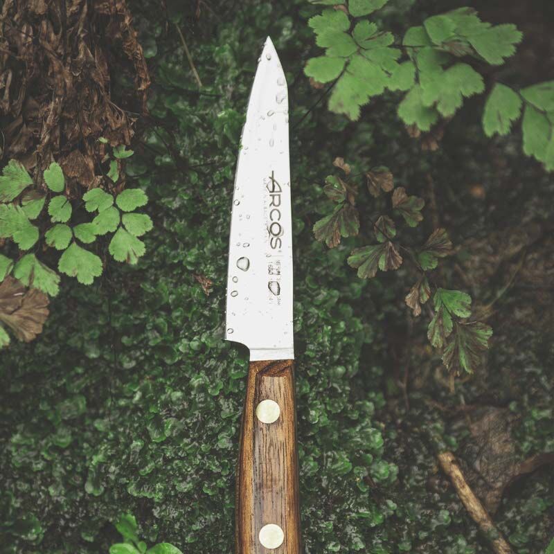 Couteau à découper 16 cm Nordika Arcos