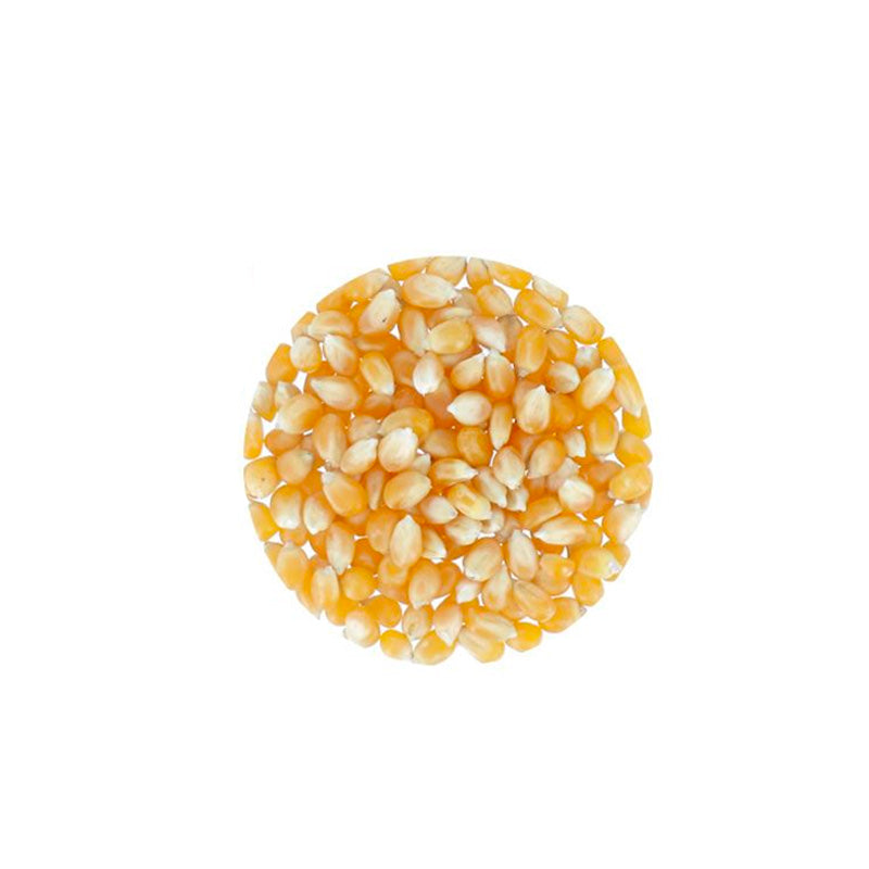 Maïs à popcorn type Butterfly 350g Patisdecor