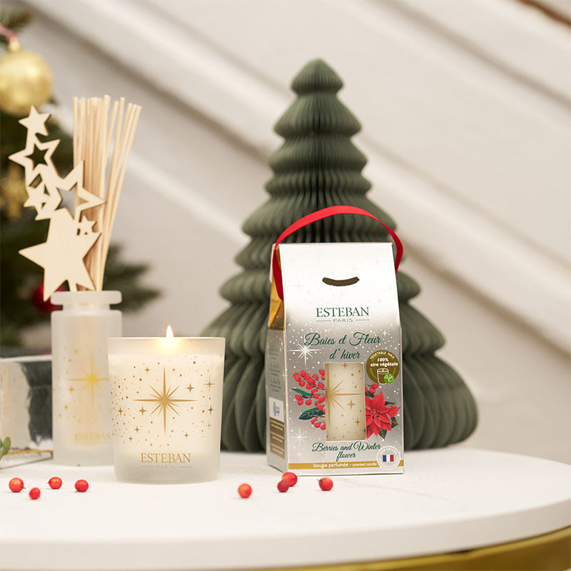Bougie parfumée baies et fleur d'hiver 180 g Esteban