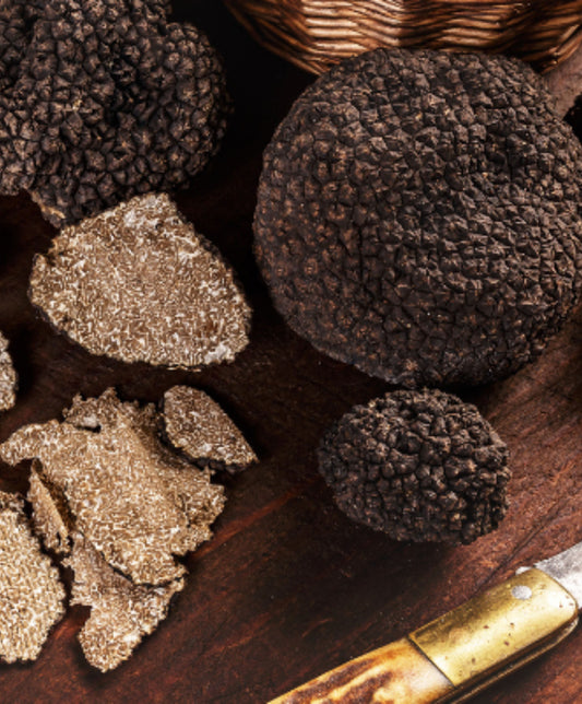 Exploration gourmande de février : à la découverte de la truffe