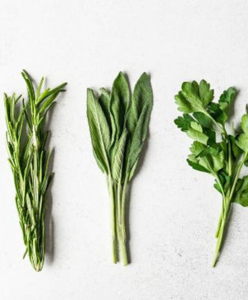 5 herbes indispensables dans vos placards
