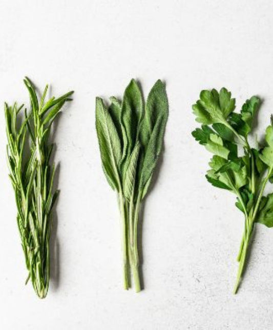 5 herbes indispensables dans vos placards