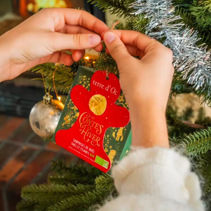 Boite de 6 infusettes surprise de thés et infusions Bio de Noël Terre d'Oc