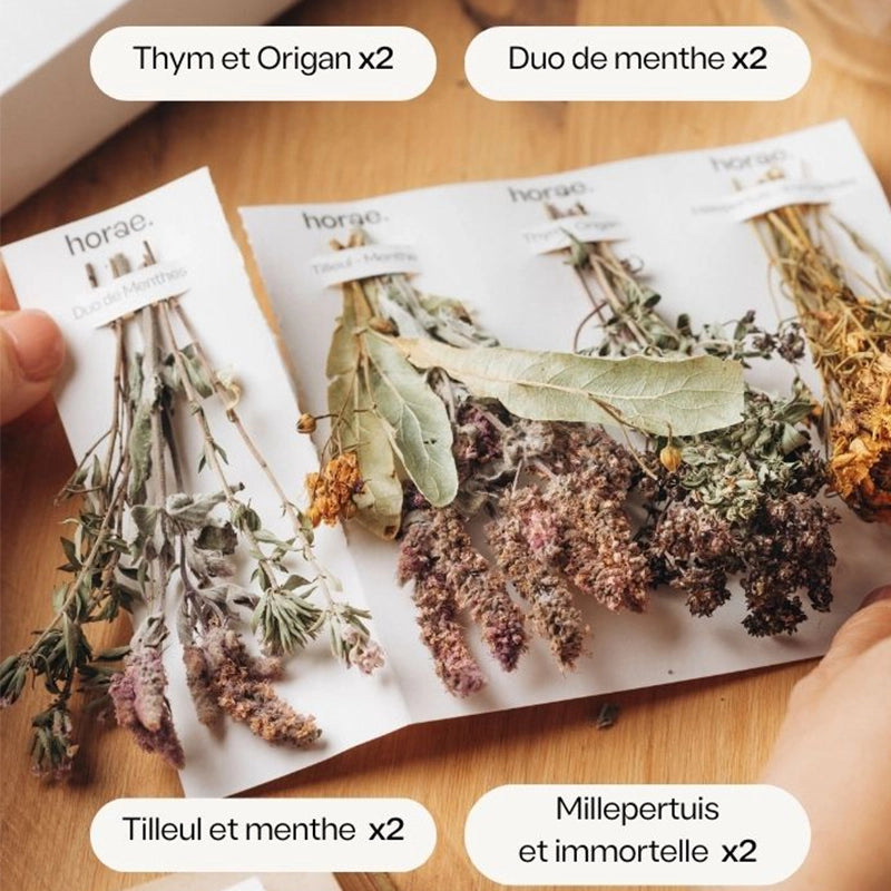 Coffret de 8 herbier d'infusion Bio Horae