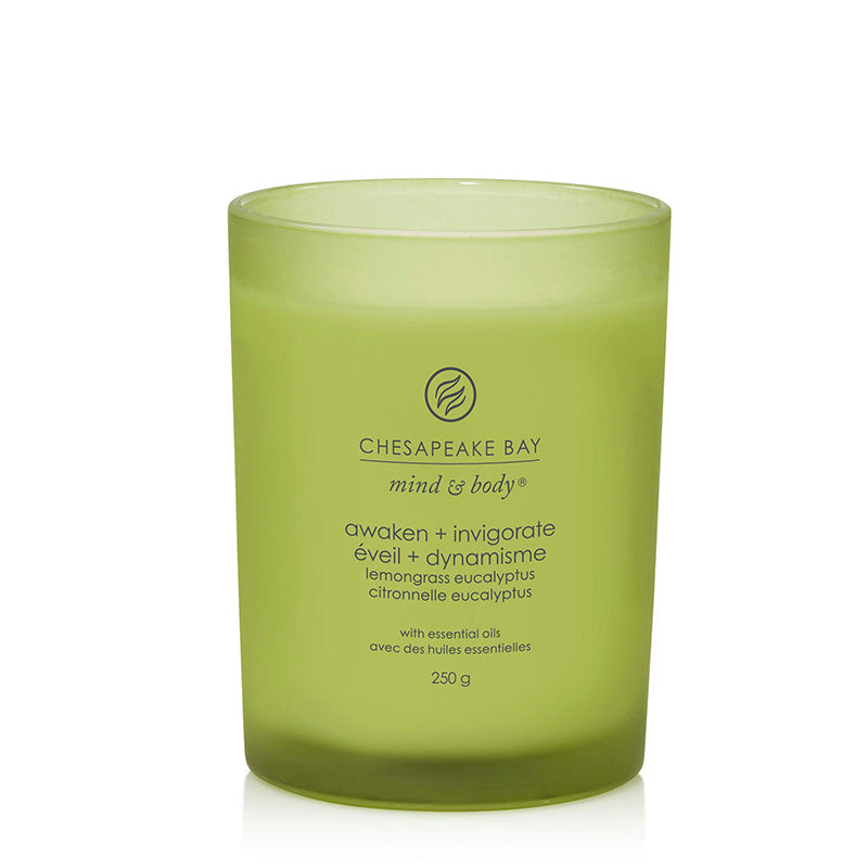 Bougie parfumée Éveil Dynamisme Citronnelle et Eucalyptus 250g Vert Chesapeake Bay