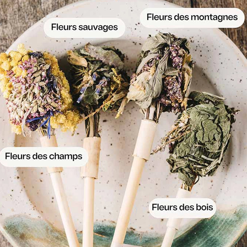 Coffret de 4 herbier d'infusion Bio Horae