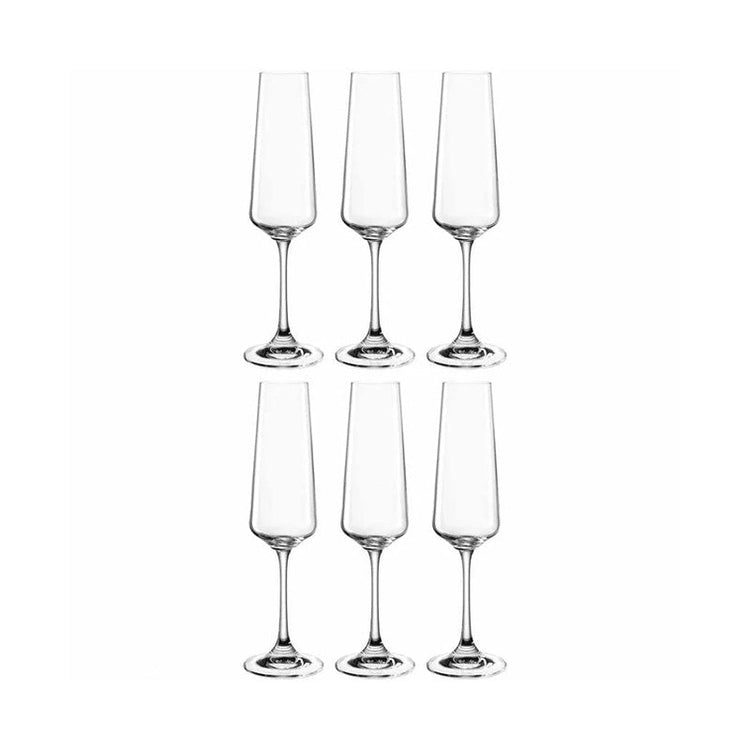 6 flûtes à champagne Paladino 22cl