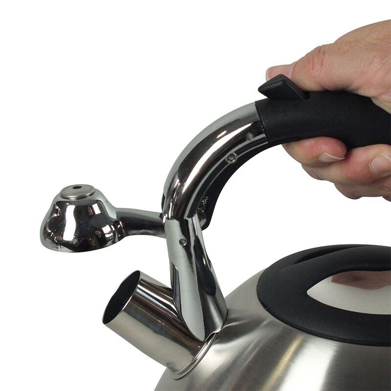 Bouilloire inox Varus 3L