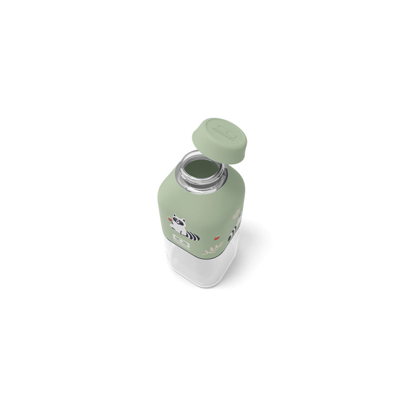 Bouteille positive S Raton laveur