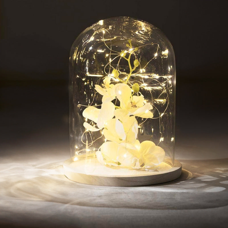 Cloche en verre et bois 29,5 cm Atmosphera