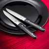 Coffret de 4 couteaux steak fusion
