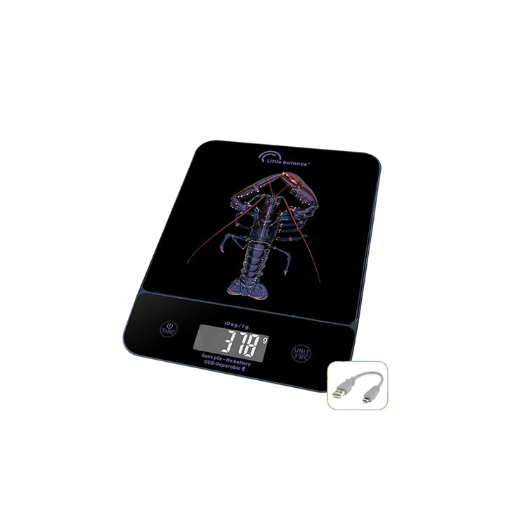 Balance Genius rechargeable homard Little Balance