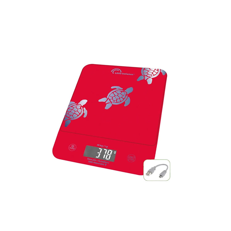 Balance Genius rechargeable tortues Little Balance