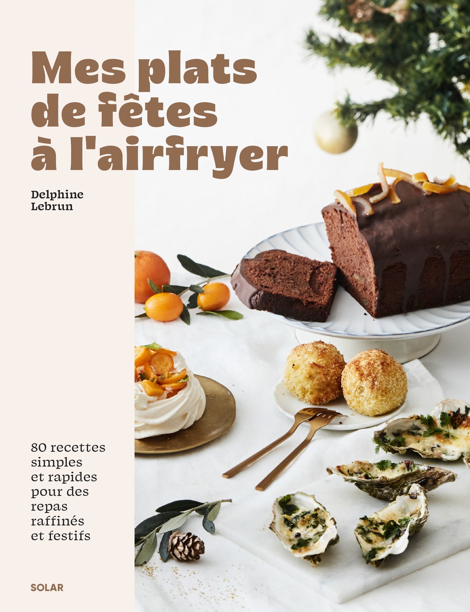 Livre Plats de fetes airfrayer Solar
