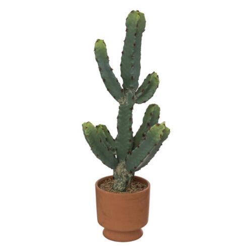 Cactus en pot alicante H49cm terracota