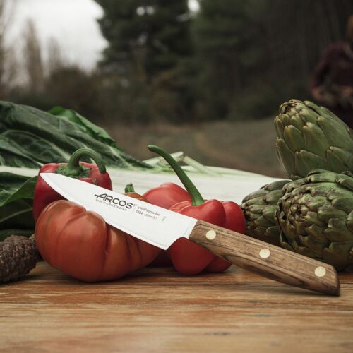 Couteau de cuisine Nordika 14cm